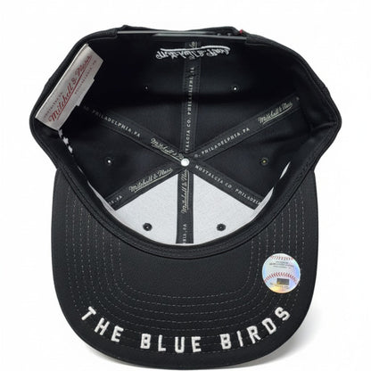 Men's Mitchell And Ness MLB Toronto Blue Jays City Spotlight Snapback