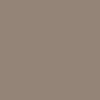 Etnies x Apache Loot Shoes - Tan/Gum
